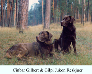 Cinbar Gilbert & Gilpi Jukon Reskjuer