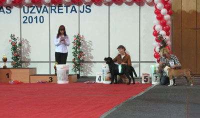 Baltic Winner 10, 31.10.2010